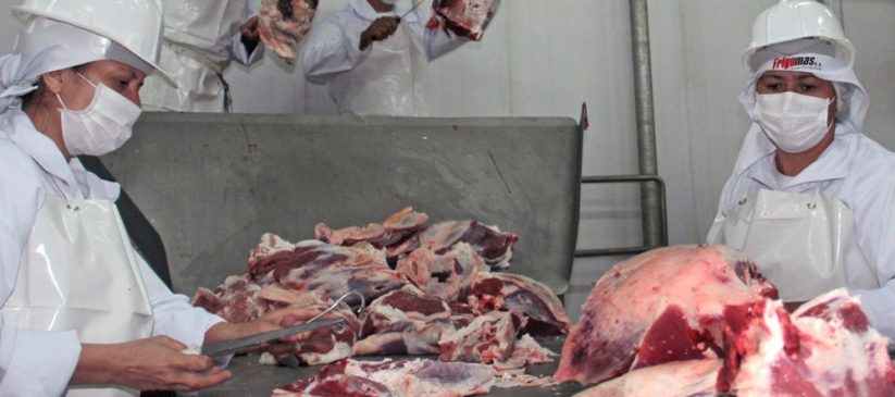 La carne paraguaya deberá ser llevada por aire. Foto: CEA Py.
