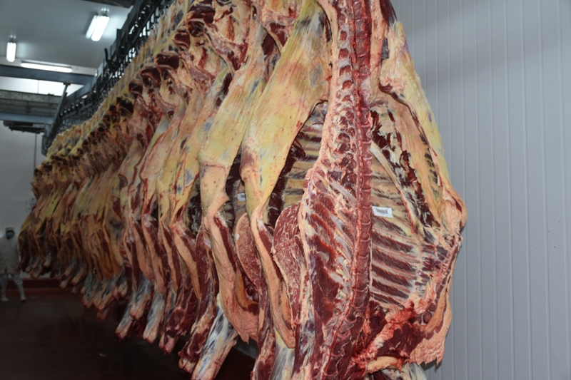 La exportación de carne fresca paraguaya, se realizará vía aérea. Foto: Senacsa