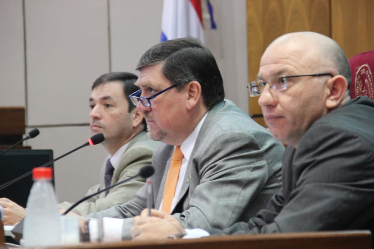 El senador Blas Llano aprobó el uso de molinetes en el Congreso. Foto: Senado Py.