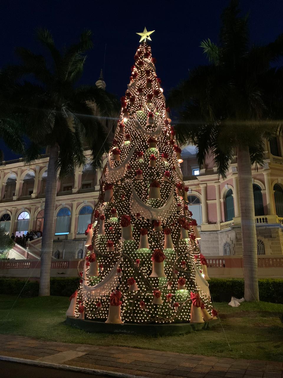 Árbol navideño en Palacio de López. Foto: Gentileza