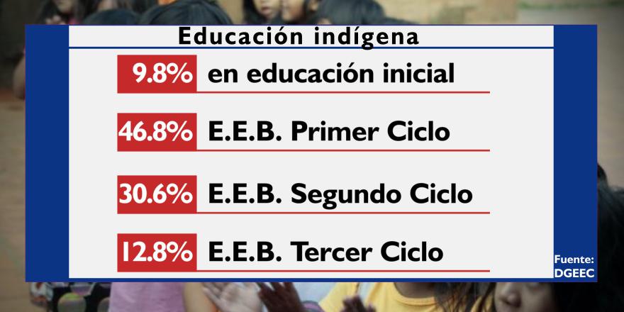 Solo el 12.8% de la población nativa, accede a la Educación Escolar Básica Tercer Ciclo.
