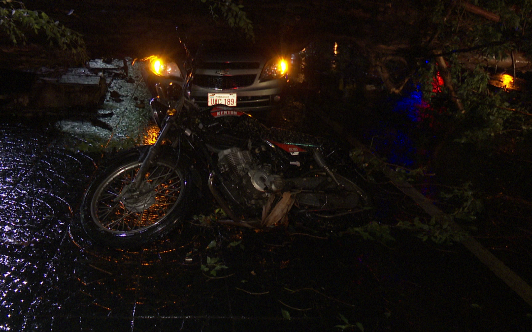 Caída de árbol causó muerte de motociclista