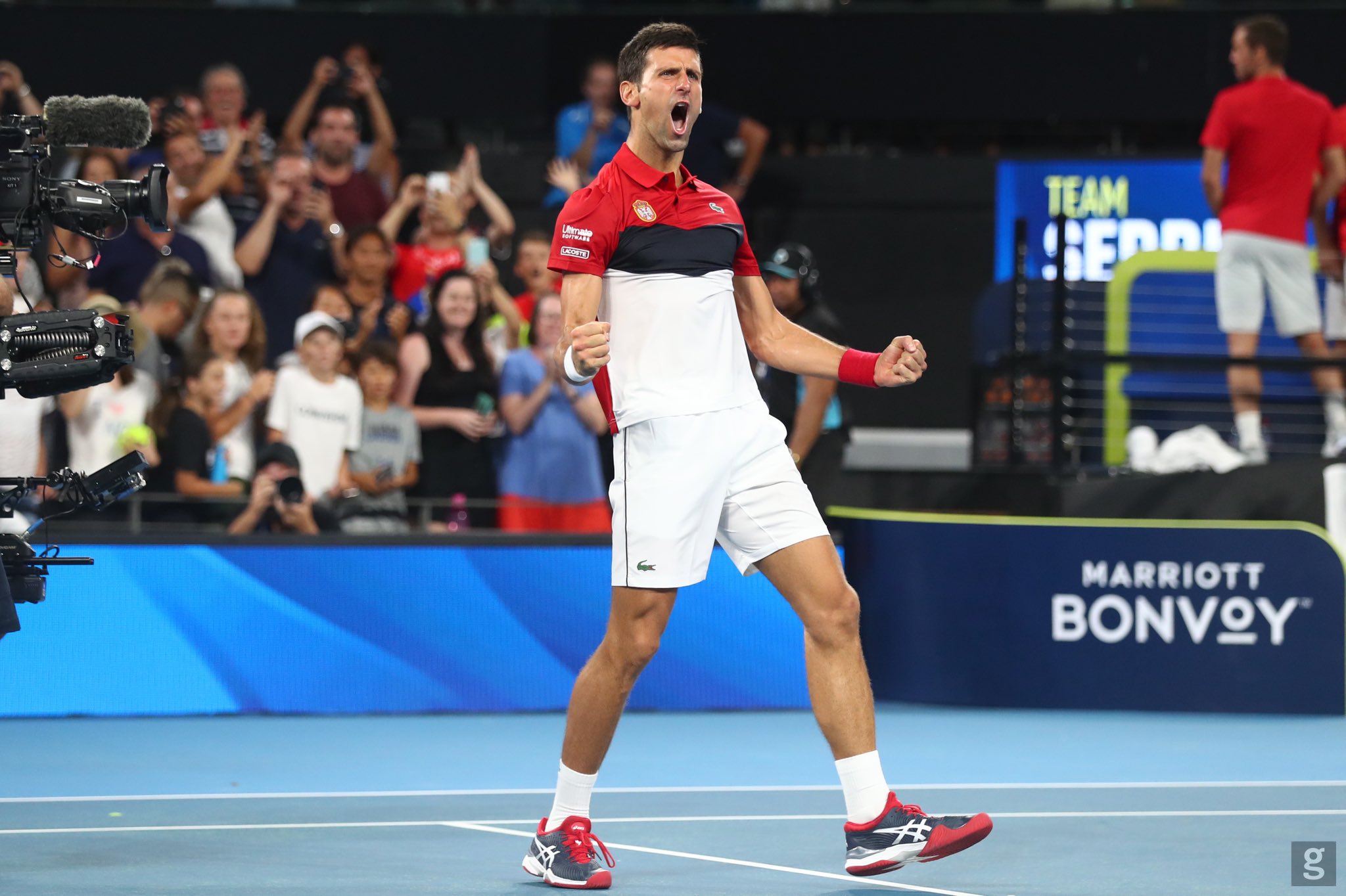 Novak Djokovic (tenista serbio, número 2 del mundo). Foto: @DjokerNole