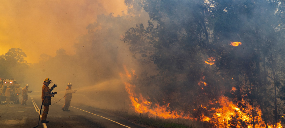 Tras los incendios en Australia, unas 400 megatoneladas de dióxido de carbono fueron liberadas a la atmósfera. Foto: Noticias ONU