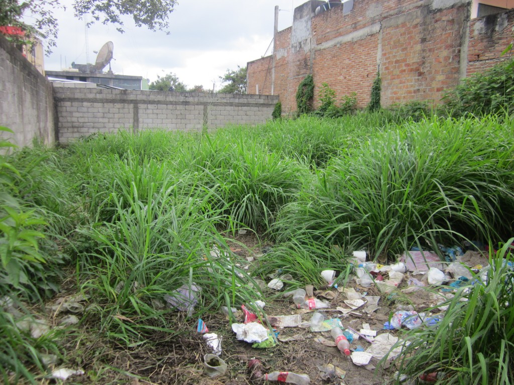 Cerca de 100 terrenos de Fernando de la Mora ya fueron limpiados por los funcionarios municipales. Sus propietarios recibieron multas. Foto: Agencia IP