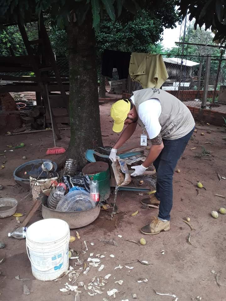 Cualquier recipiente que pueda juntar agua, es un potencial criadero de mosquitos. Foto: @SenepaParaguay