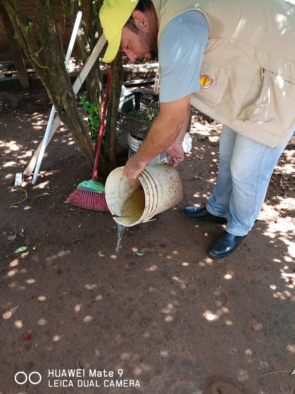 Recordá que el Aedes aegypti se puede reproducir no solo en aguas limpias, sino también en aguas sucias. Foto: @SenepaParaguay