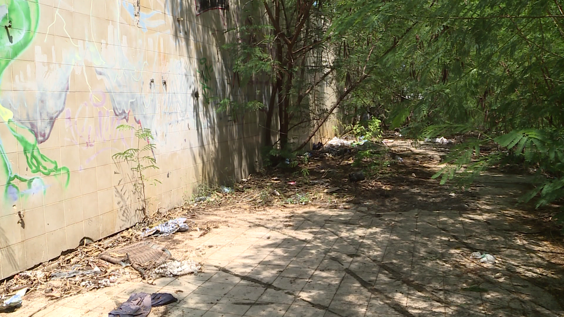 El predio de la ex Cervecería Paraguaya se encuentra completamente abandonado sin nungún tipo de custodia.