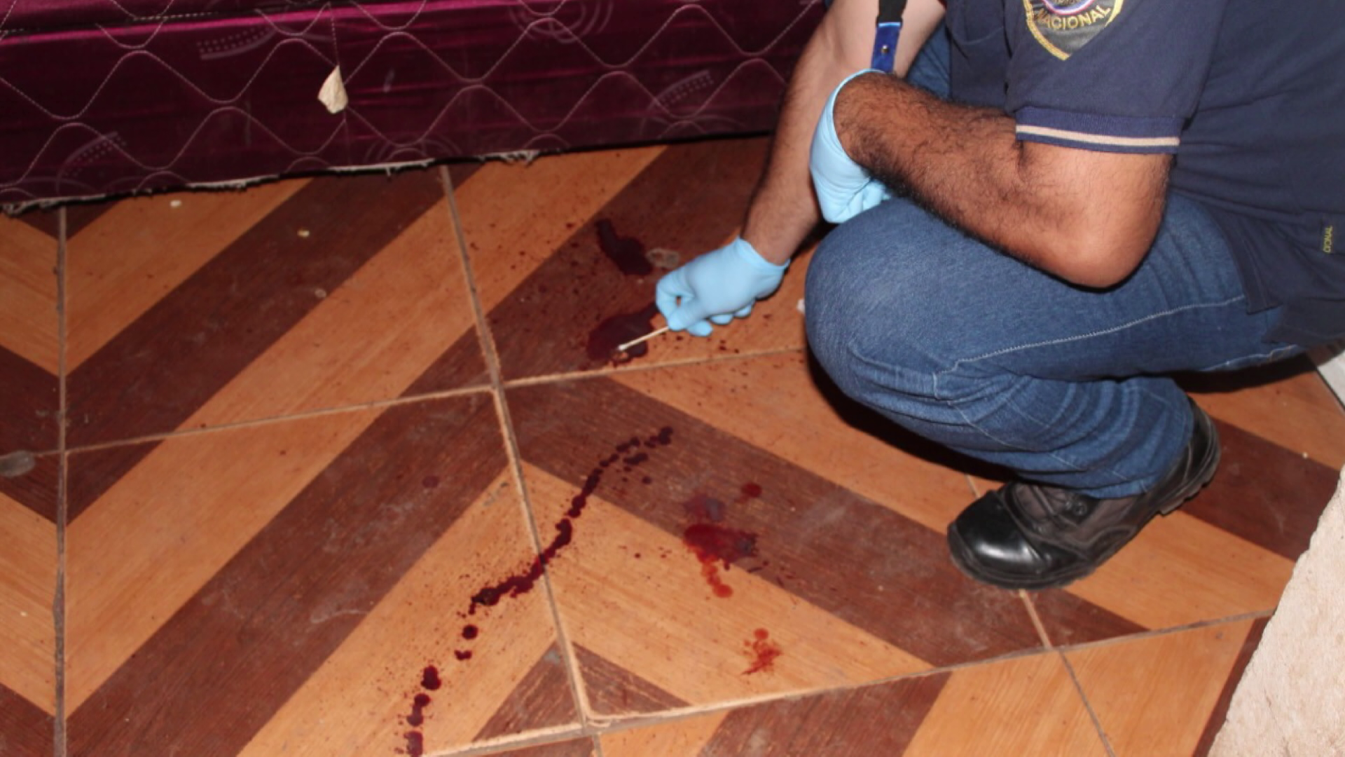 Agentes de Investigación de Delitos del Departamento Central y de Criminalística descubrieron que la sangre es animal. Foto: Gentileza
