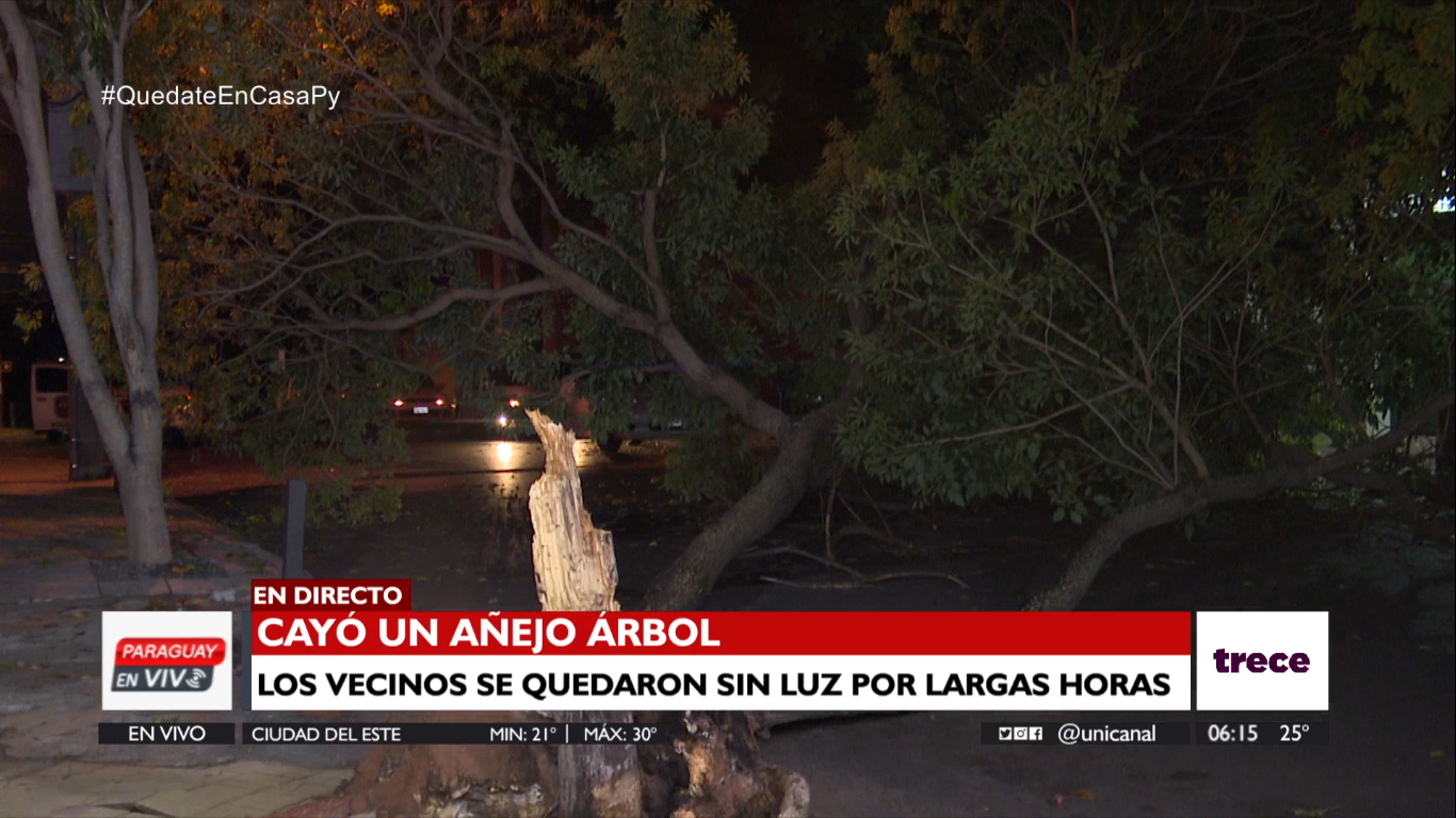 El árbol árbol cayó sobre las calles Mayor Fleitas entre Herrera y Azara del barrio Ciudad Nueva de Asunción.