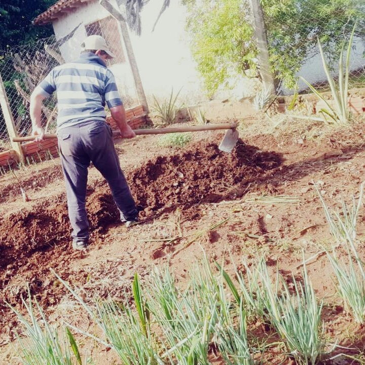 Los kits irán para familias que cuenten con terreno libre para el cultivo. Foto: MAG
