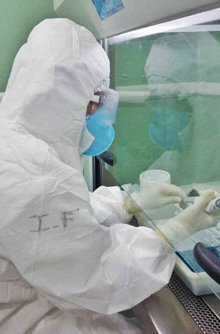 Varios laboratorios, como el de Senacsa, están realizando el procesamiento de muestras para detección del Covid-19. Foto: @SENACSA