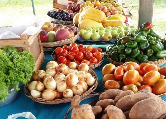 Verduras y frutas frescas ofertadas por el MAG.