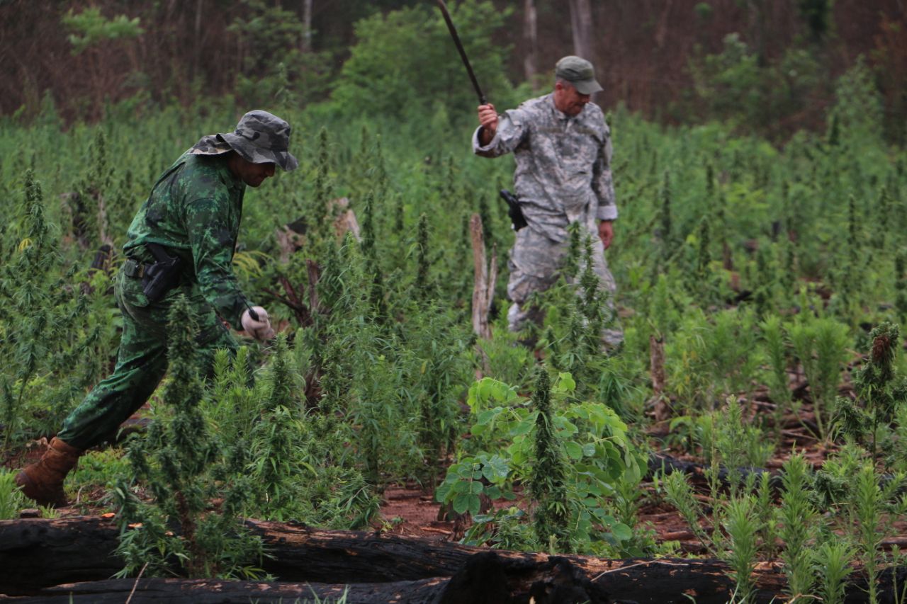 El principal destino de la marihuana sigue siendo el Brasil. Foto: Senad