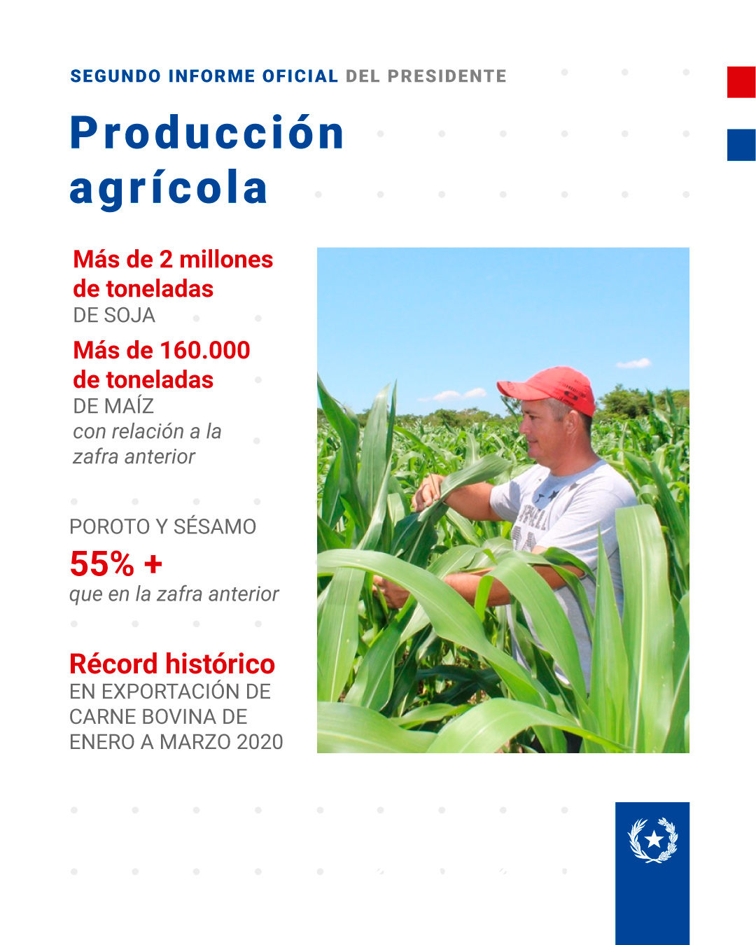 Producción agrícola. Foto: Presidencia