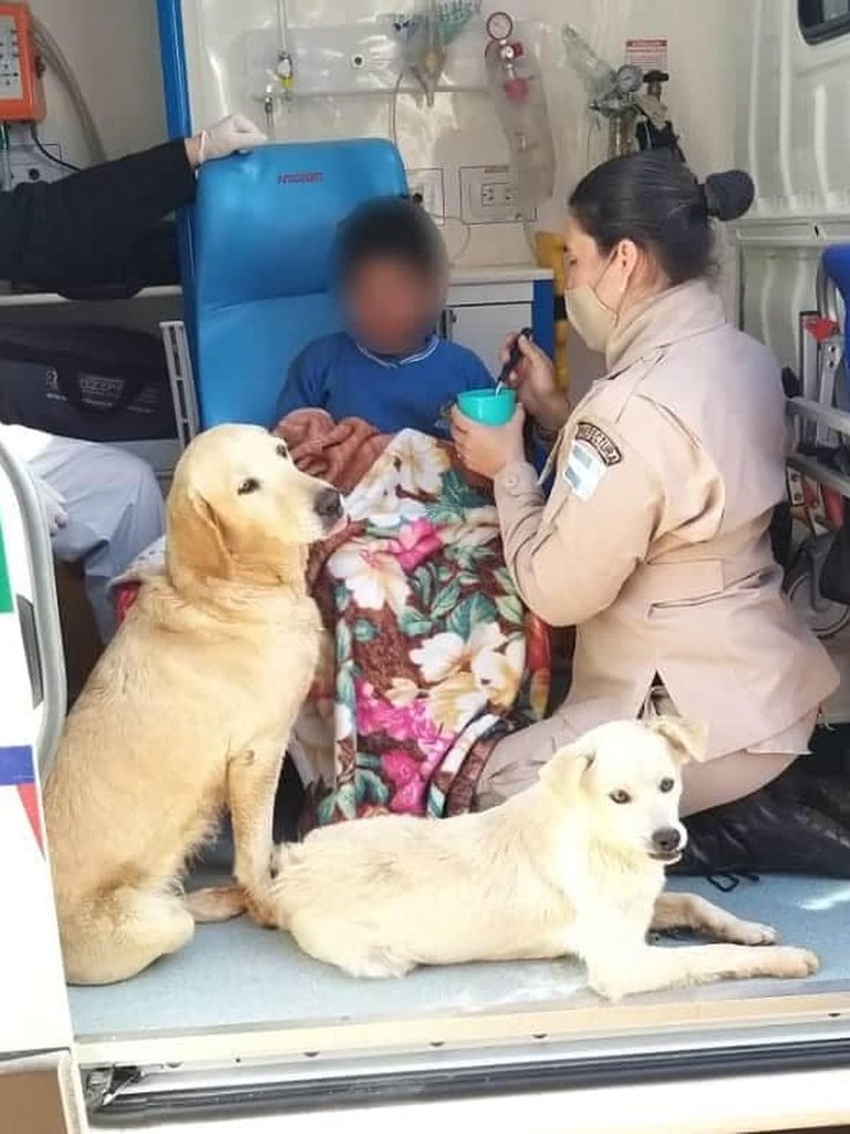 Niño con la cara censurada, rescatado en una ambulancia, comiendo junto a una agente de la Prefectura Naval Argentina y sus dos perros.