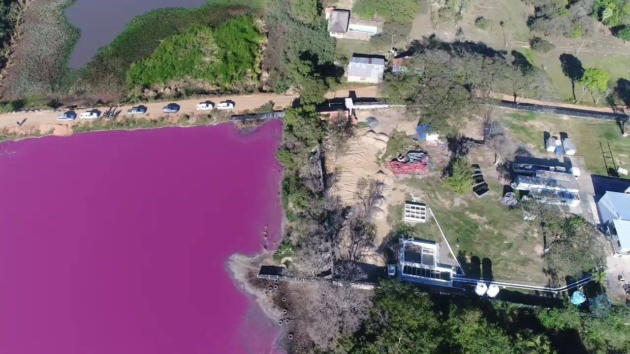 Laguna Cerro teñida de color rosado.