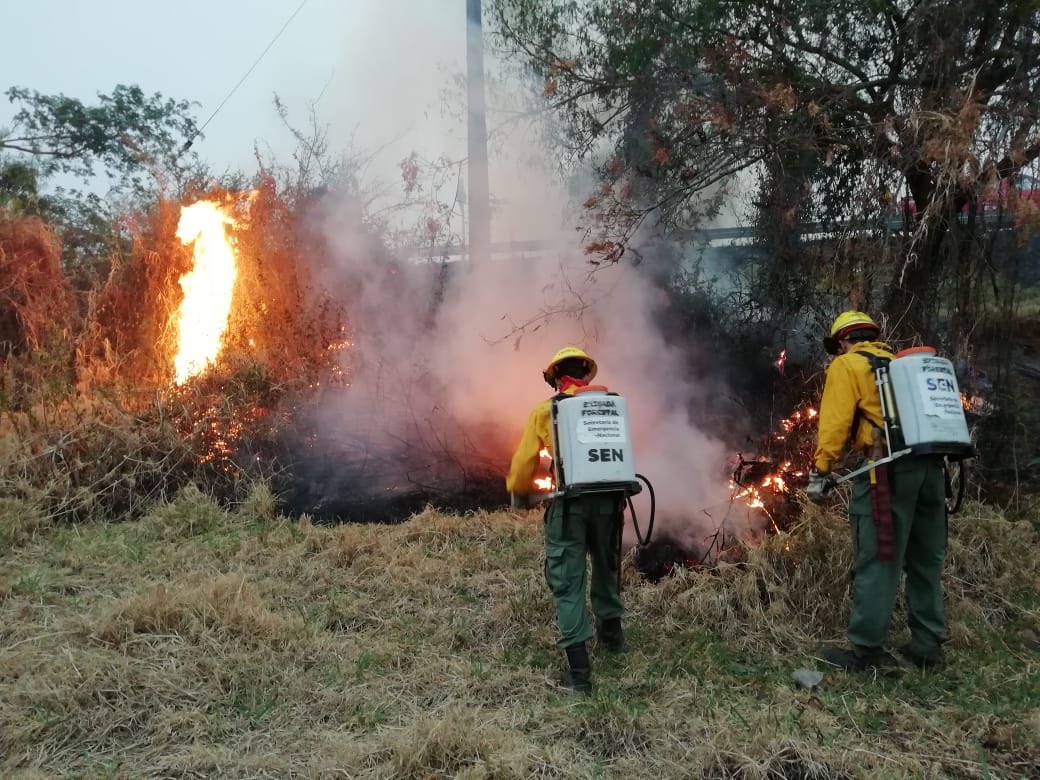 Agentes de la SEN trabajando en la extinción del fuego.