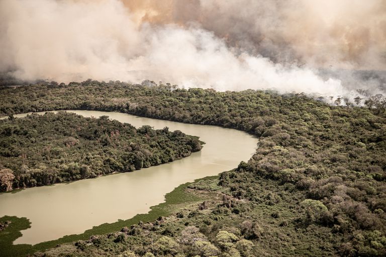 Incendios en el Pantanal brasileño registran el peor mes de su historia