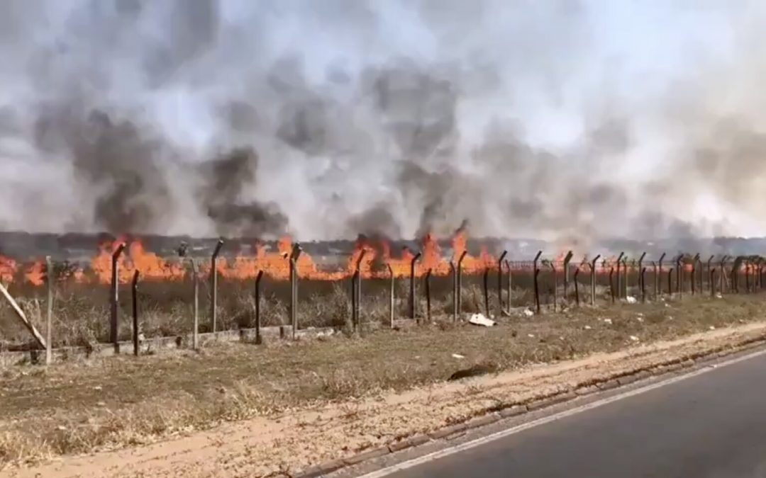 Controlan incendio en pastizal del aeropuerto Silvio Pettirossi