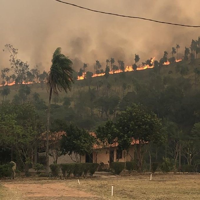 Los incendios forestales azotan a nuestro país y ponen en peligro la salud de todos los seres vivos. Foto: Gentileza.