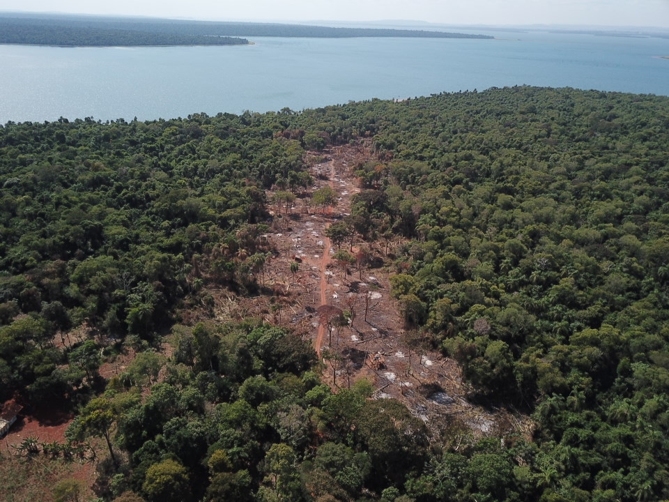 Los legisladores habrían alentado a la ocupación de tierras en todo el territorio nacional. Foto ilustrativa / Itaipú.