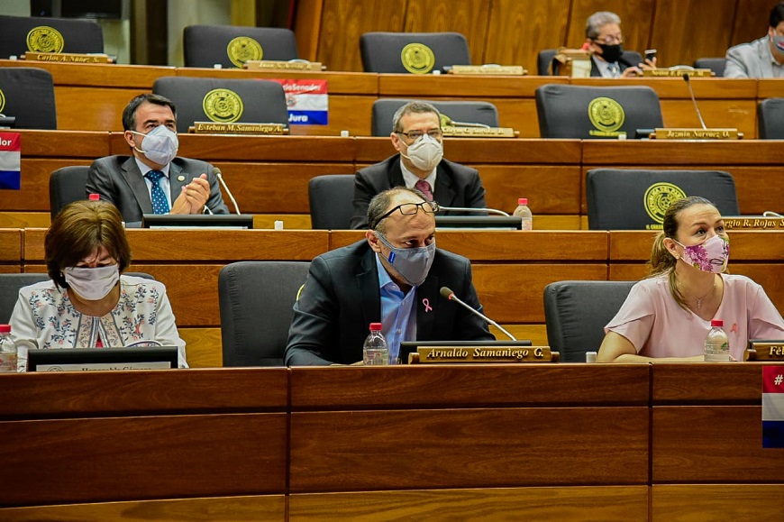 Representantes de Salud Pública durante la sesión de la bicameral del PGN 2021.