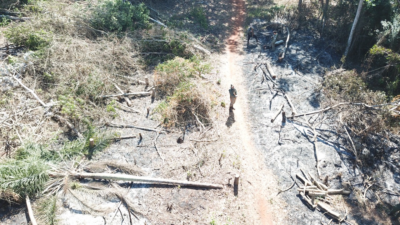 Paraguay, el segundo país en la región con mayor deforestación.