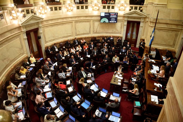 proyecto de ley que pide legalizar el aborto fue aprobado por el Congreso argentino. Foto: EFE
