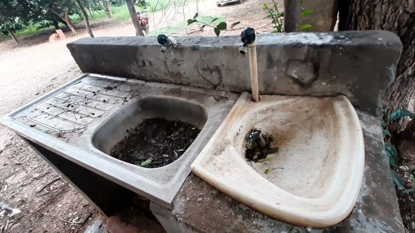 La escuela no reúne las condiciones sanitarias para el inicio del año lectivo.