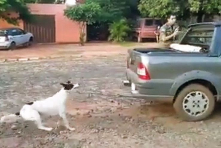 "Tyson" fue atado por dos mujeres a una camioneta y arrastrado hasta morir.