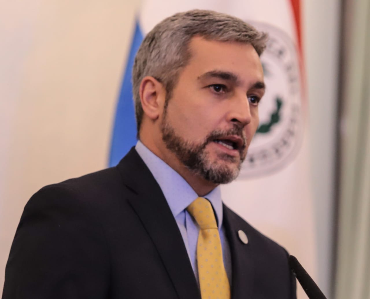 Mario Abdo Benítez, Presidente de la República. Foto: Agencia IP.