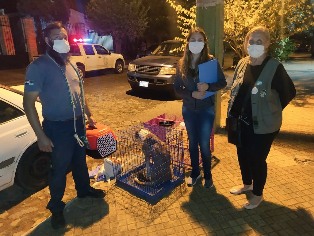 Acudieron por denuncia de abandono animal y encontraron a la dueña muerta