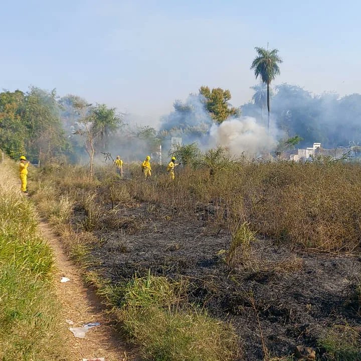 Controlan incendio de pastizales en zona del vacunatorio Rubén Dumot