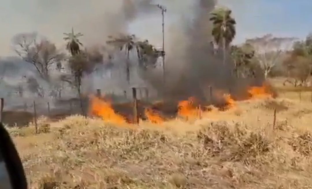 Desolación e impotencia: Parque Nacional Cerro Corá arde en llamas