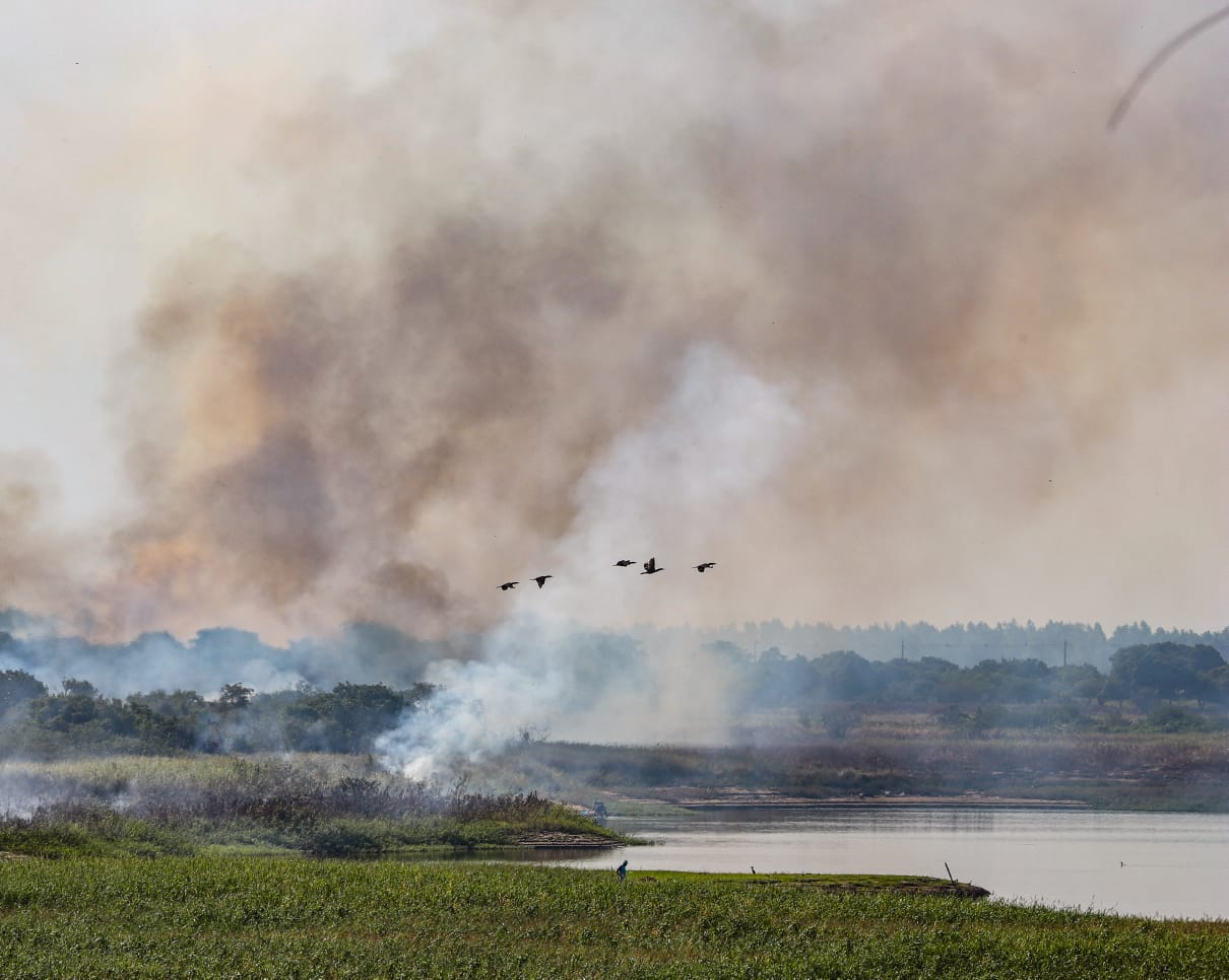 Alérgicos, los más afectados por el humo en el ambiente