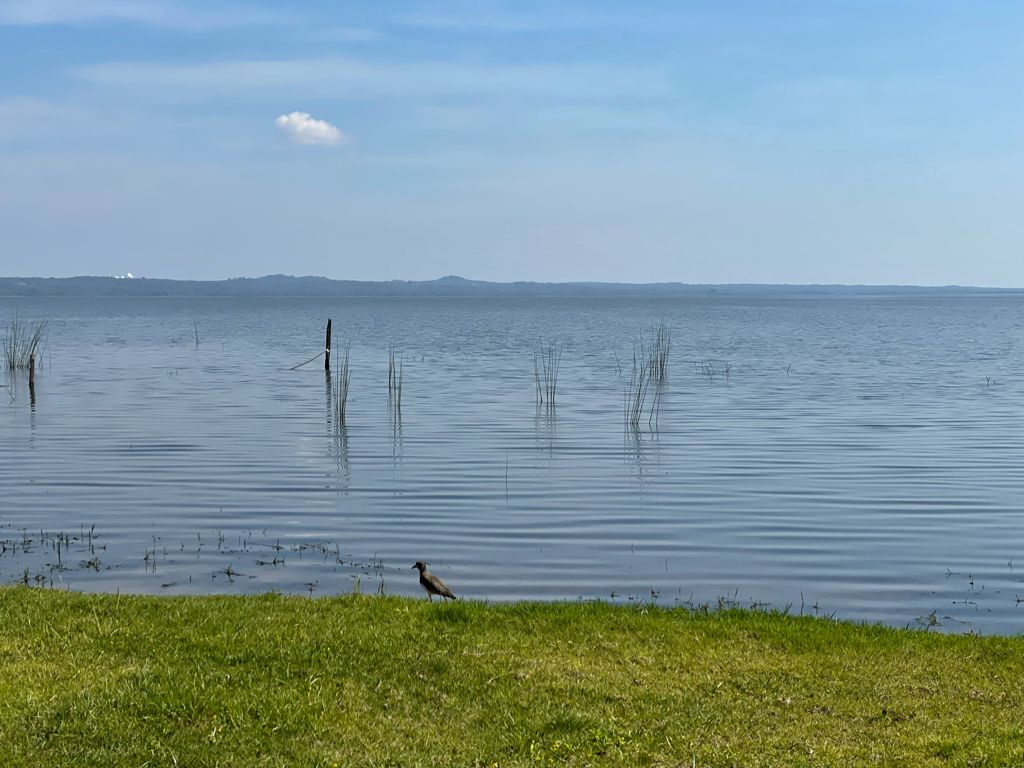 Progresiva mejoría de la calidad del agua del lago Ypacaraí