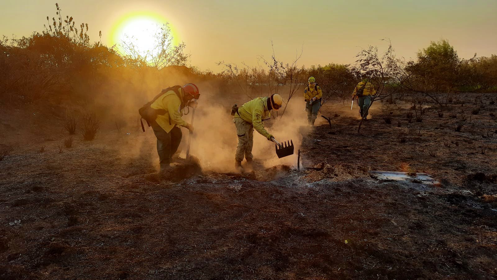 Incendios forestales: “Hay un respiro”, afirma Joaquín Roa