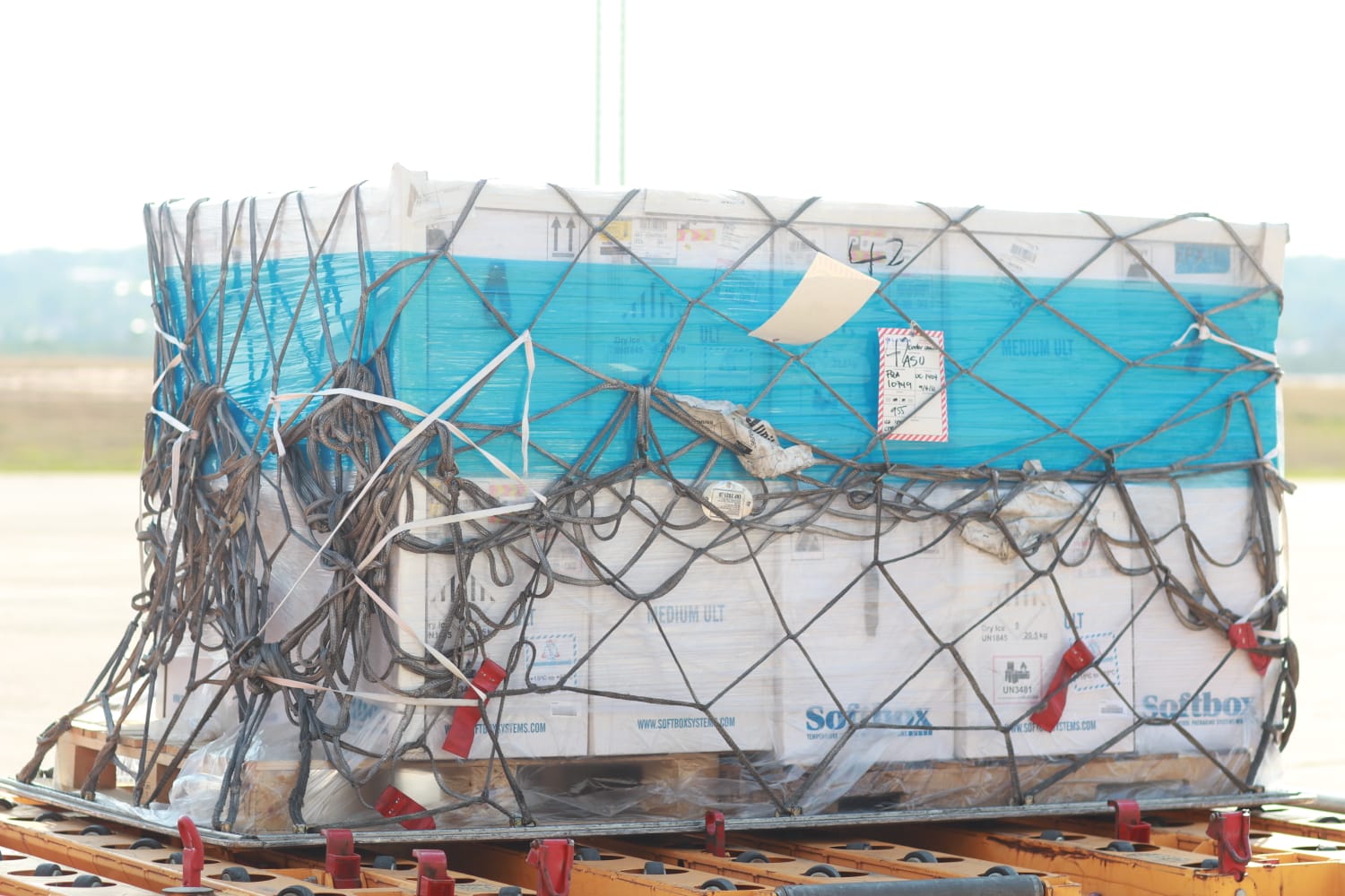 Arribó al país nuevo lote de vacunas Pfizer contra el Covid-19