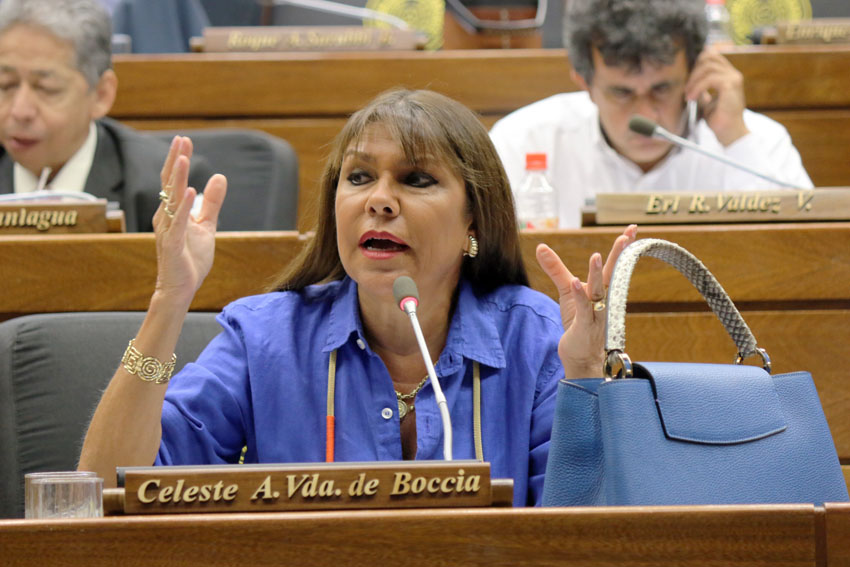 Celeste Amarilla, diputada Nacional. Foto: gentileza.