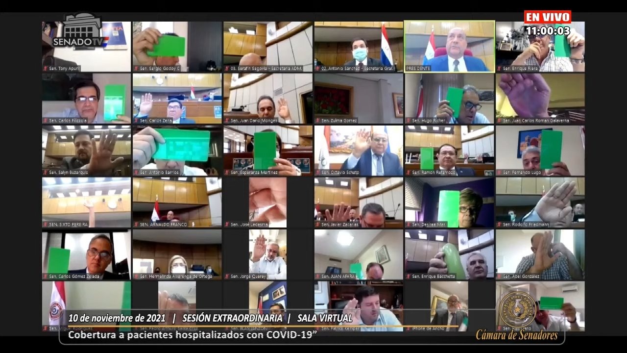 Sesión extraordinaria en Cámara de Diputados. Foto: captura de pantalla.