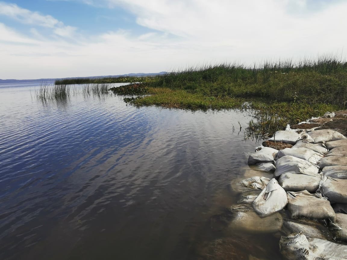 Nivel del agua del lago Ypacaraí se mantiene aceptable hace un año