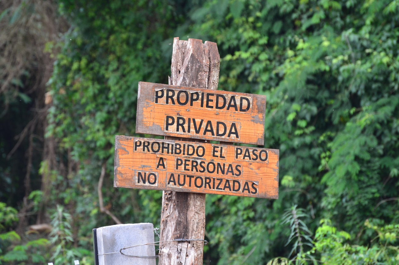 Las invasiones no son una excepción dentro de la reserva