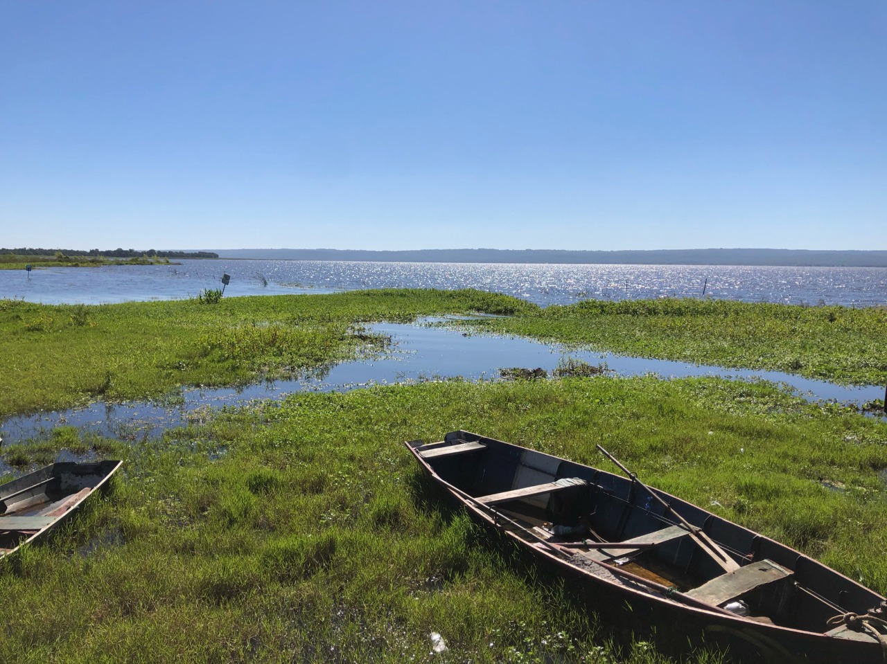 Lago Ypacaraí: niveles de coliformes se reducen por segunda semana consecutiva
