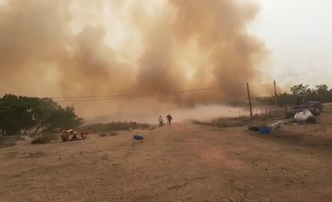 Misiones bajo fuego: Junta Municipal declaró emergencia ambiental