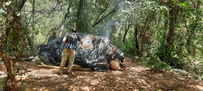 SENAD destruye toneladas de droga en zona rural y detienen a un hombre. Foto: SENAD.