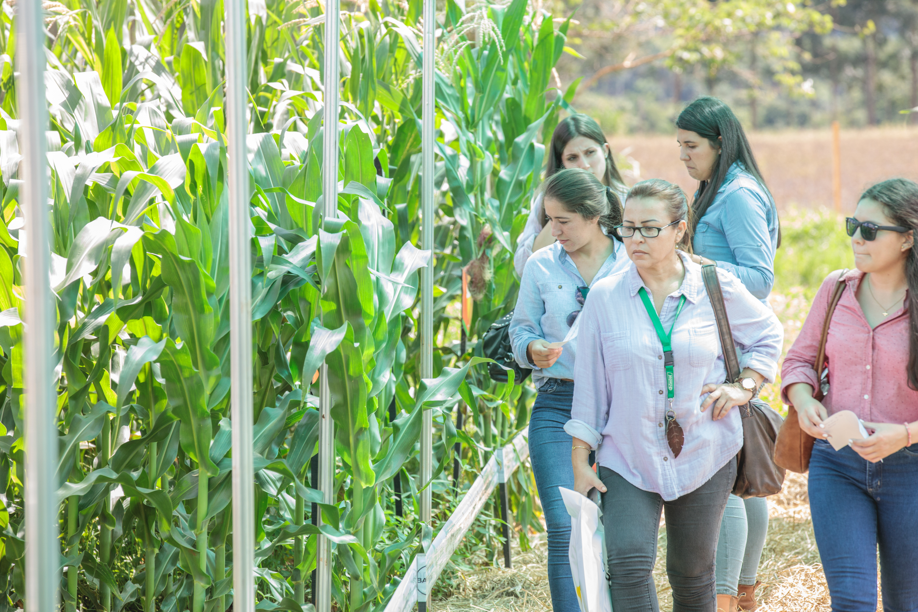 Innovar 2022: más de 20 empresas presentarán cultivos demostrativos