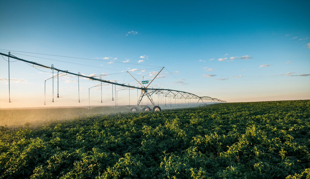 La tecnología digital aplicada a los agronegocios será la gran protagonista de la nueva edición de la feria Innovar. Foto: Innovar.