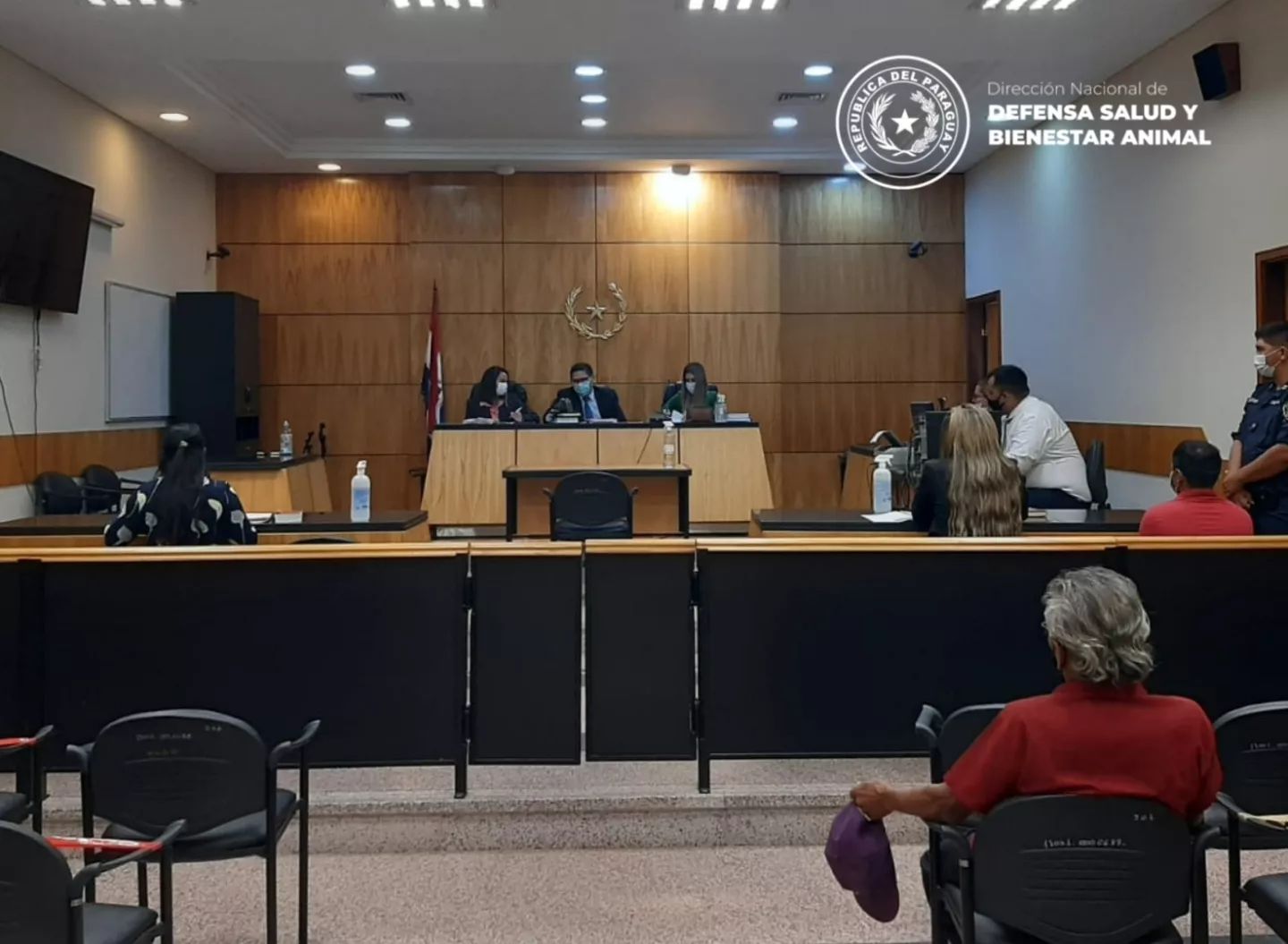 Histórico juicio oral por abuso a una gallina