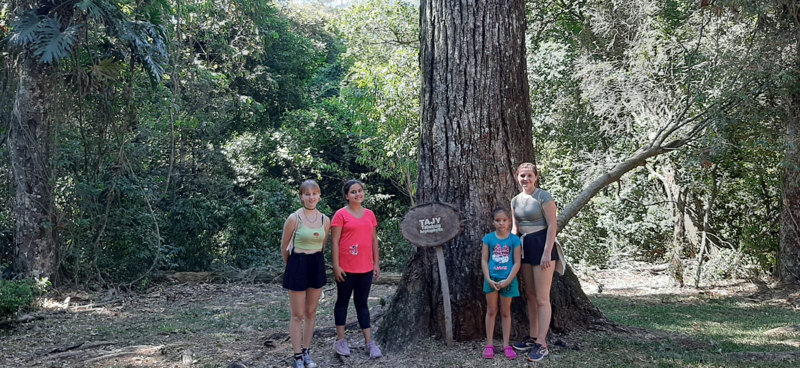 Los recorridos no tienen ningún costo